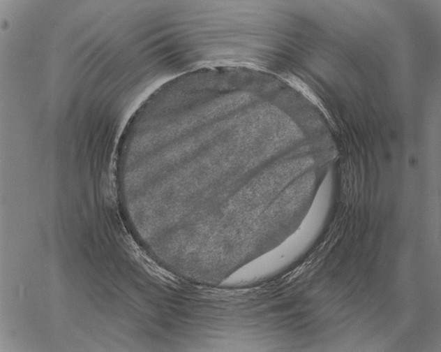 X0000061141068200512161524