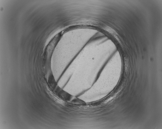 X0000061141069200512161524