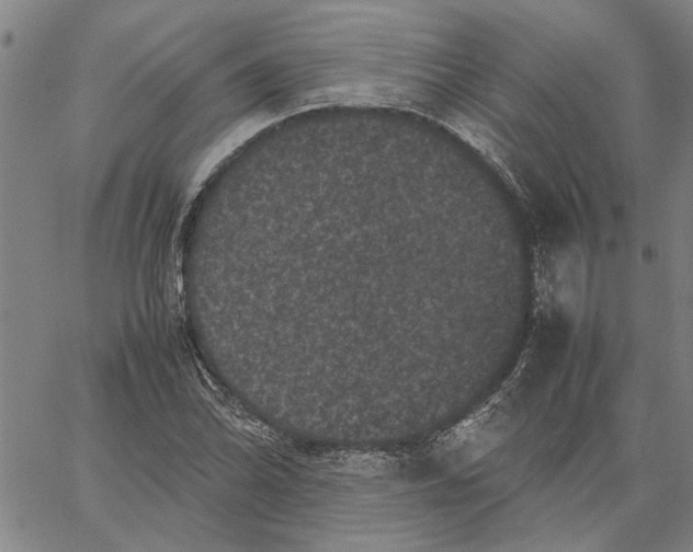 X0000061141070200512161524