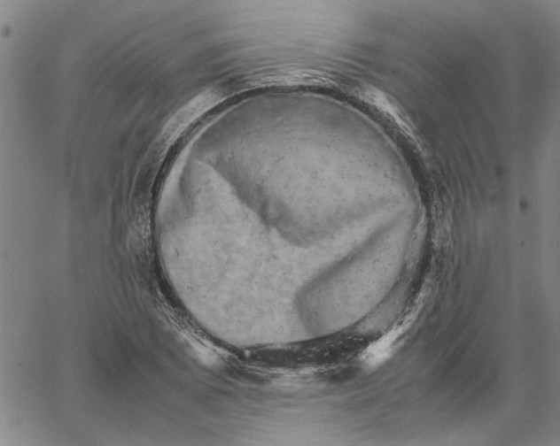 X0000061141073200512161524