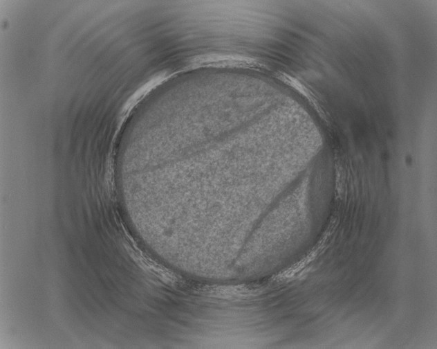 X0000061141074200512161524