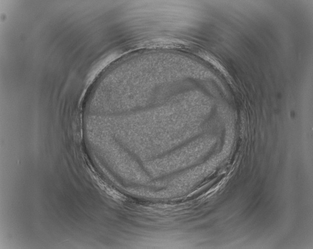 X0000061141075200512161524