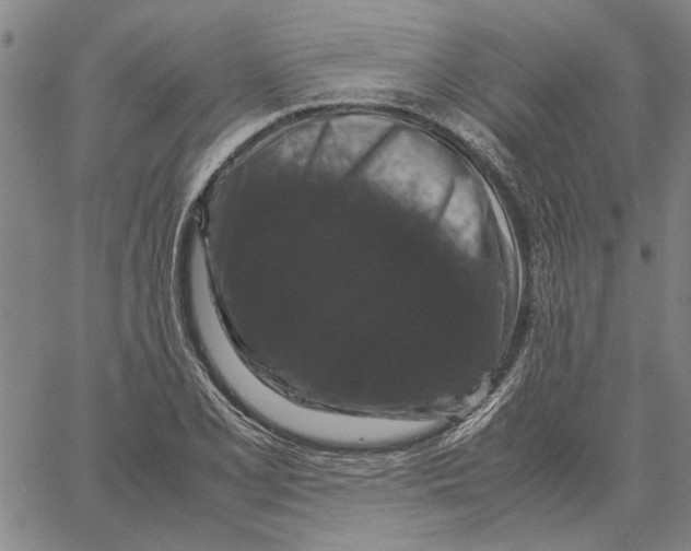 X0000061141077200512161524