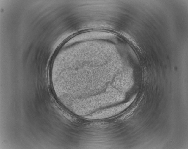 X0000061141078200512161524