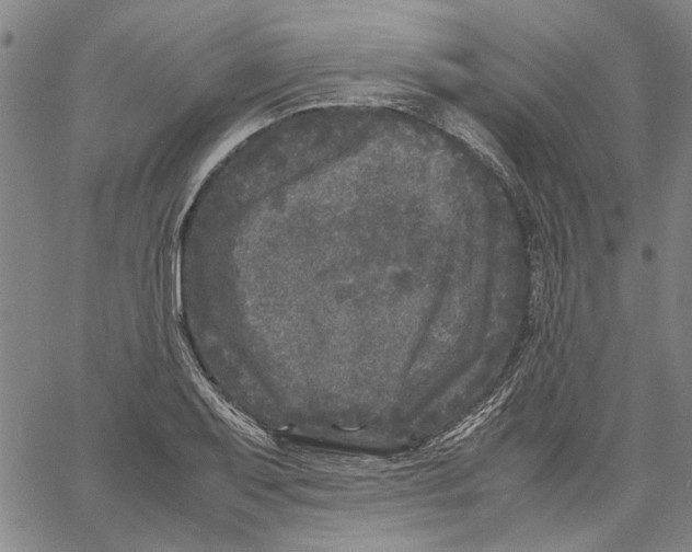 X0000061141079200512161524