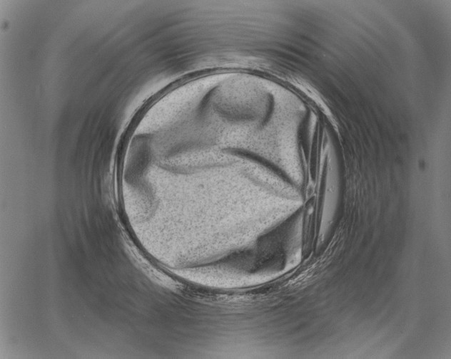 X0000061141080200512161524