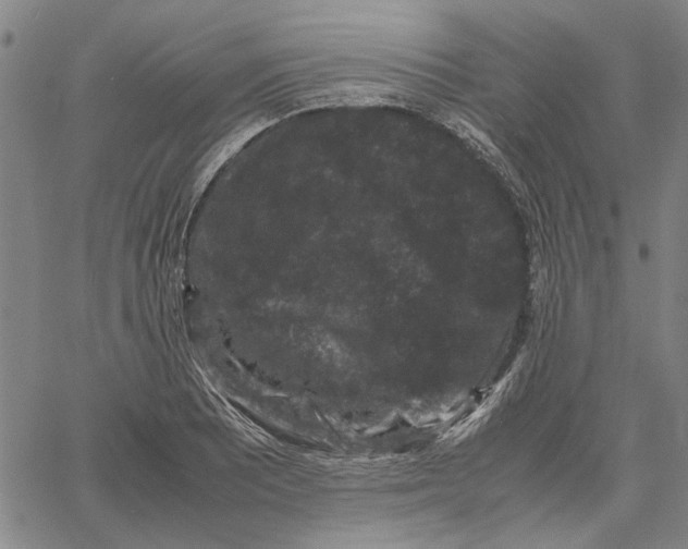 X0000061141081200512161524