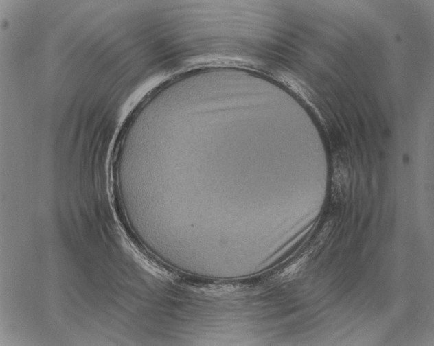 X0000061141082200512161524