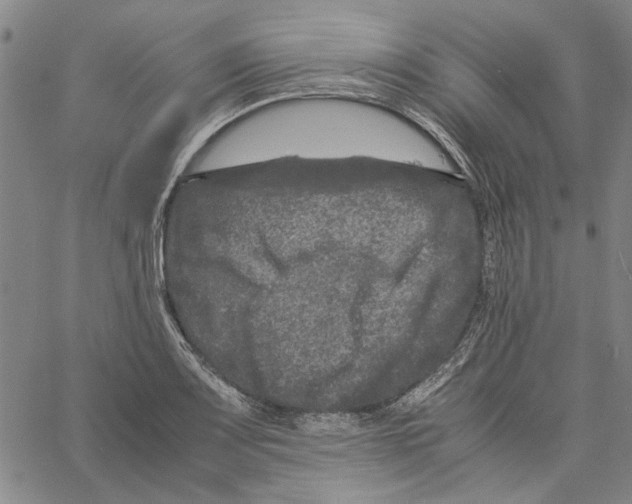 X0000061141083200512161524