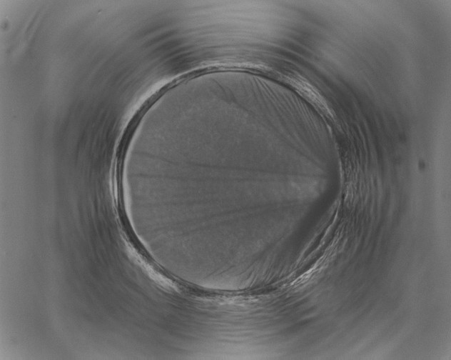 X0000061141084200512161524