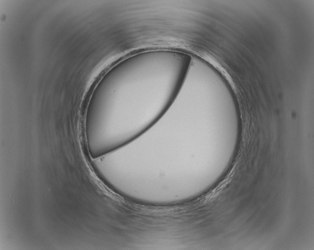 X0000061141085200512161524