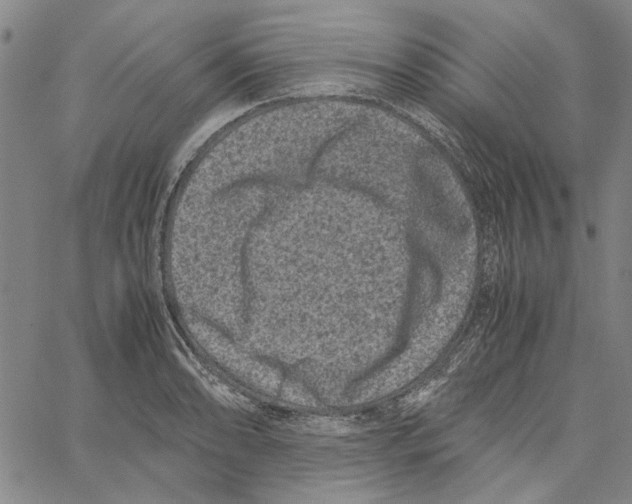 X0000061141086200512161524