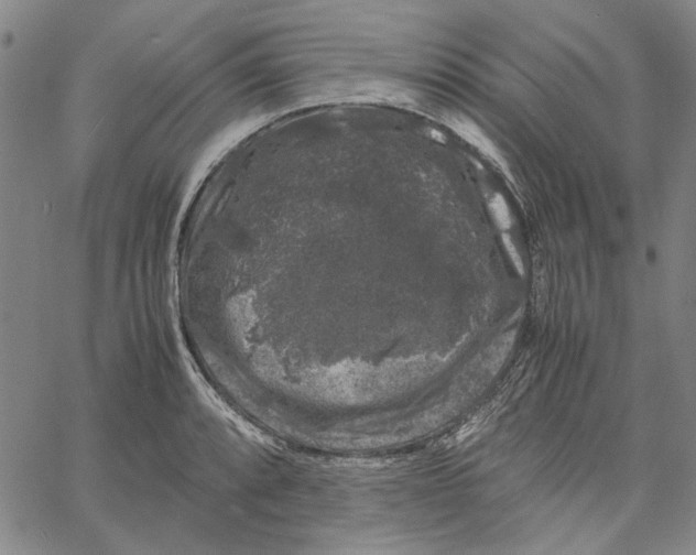 X0000061141088200512161524