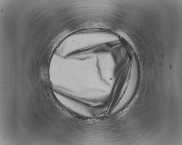 X0000061141089200512161524