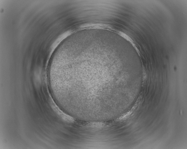 X0000061141090200512161524