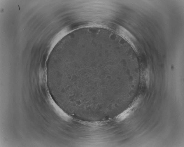 X0000061141092200512161524