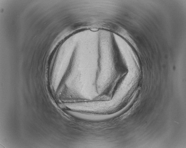 X0000061141093200512161524