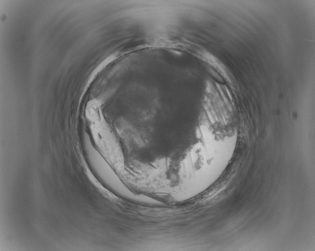 X0000061141095200512161524