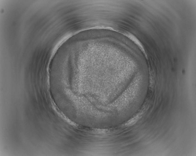 X0000061141096200512161524