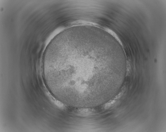 X0000061141098200512161524