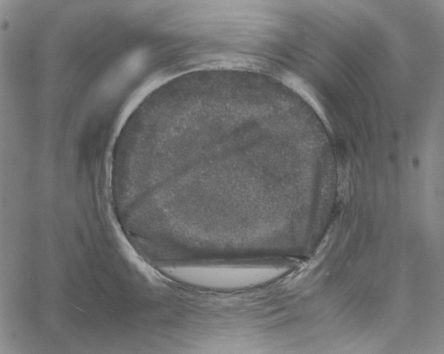 X0000061141099200512161524