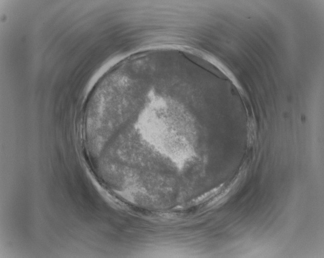 X0000061141101200512161524