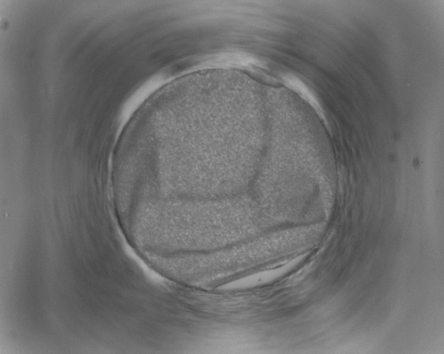 X0000061141103200512161524