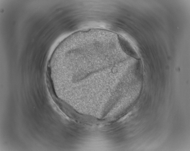 X0000061141104200512161524