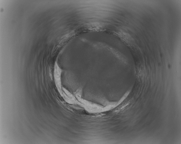 X0000061141106200512161523