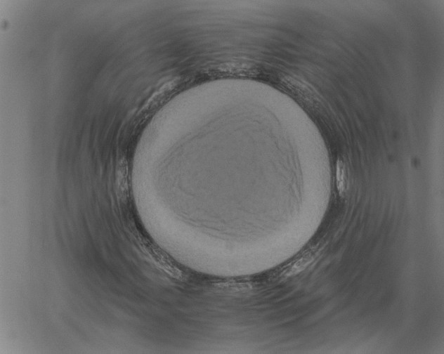 X0000061141107200512161523