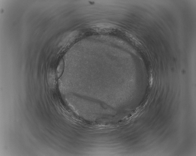 X0000061141108200512161523