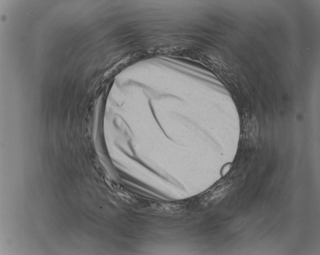 X0000061141109200512161523