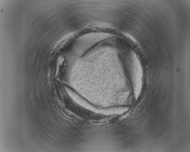 X0000061141112200512161523