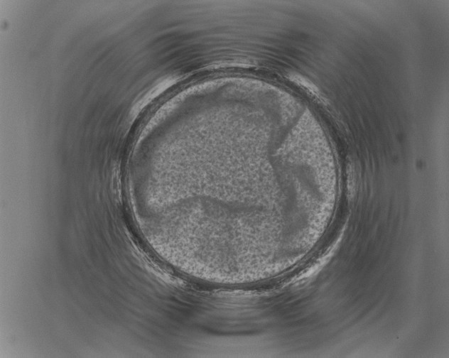 X0000061141113200512161523