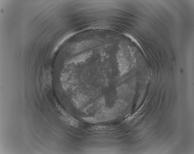 X0000061141115200512161523