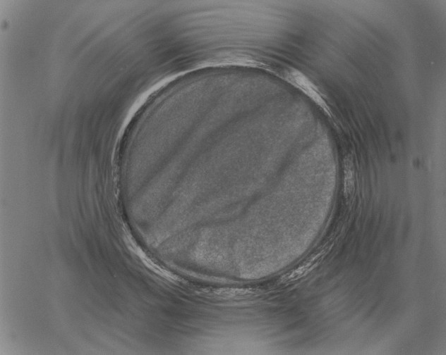 X0000061141116200512161523