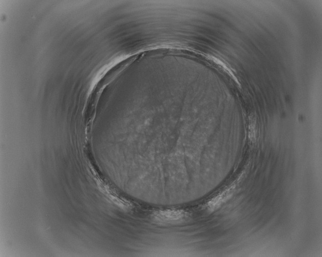 X0000061141117200512161523