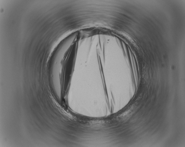 X0000061141118200512161523