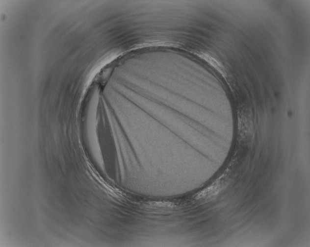 X0000061141119200512161523