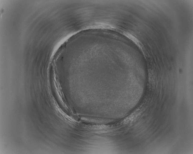 X0000061141120200512161523