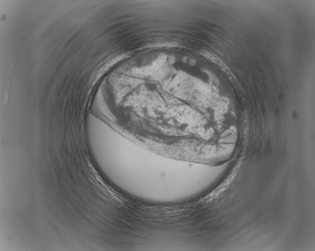 X0000061141121200512161523