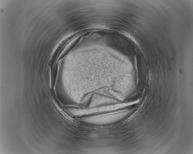 X0000061141123200512161523