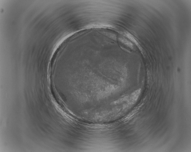 X0000061141124200512161523