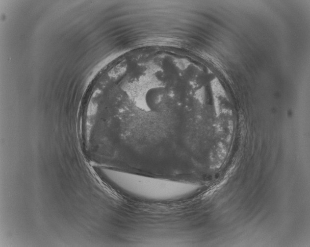 X0000061141125200512161523