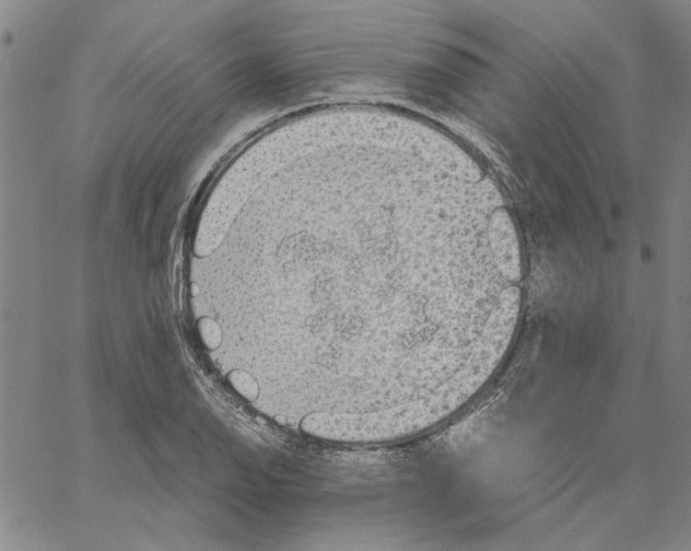 X0000061141126200512161523