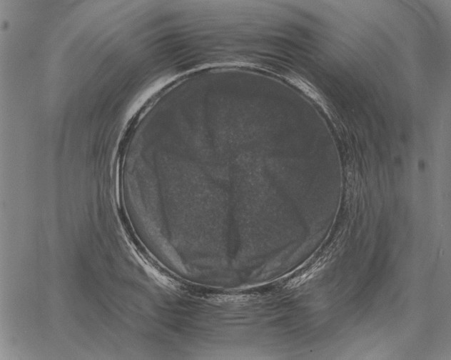 X0000061141127200512161523