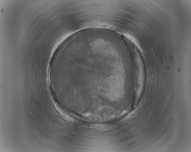 X0000061141128200512161523