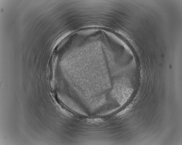 X0000061141129200512161523