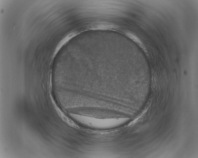 X0000061141130200512161523