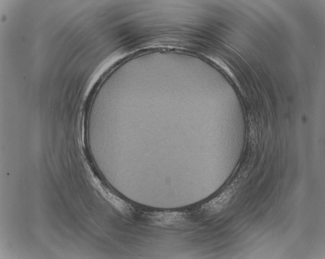 X0000061141131200512161523